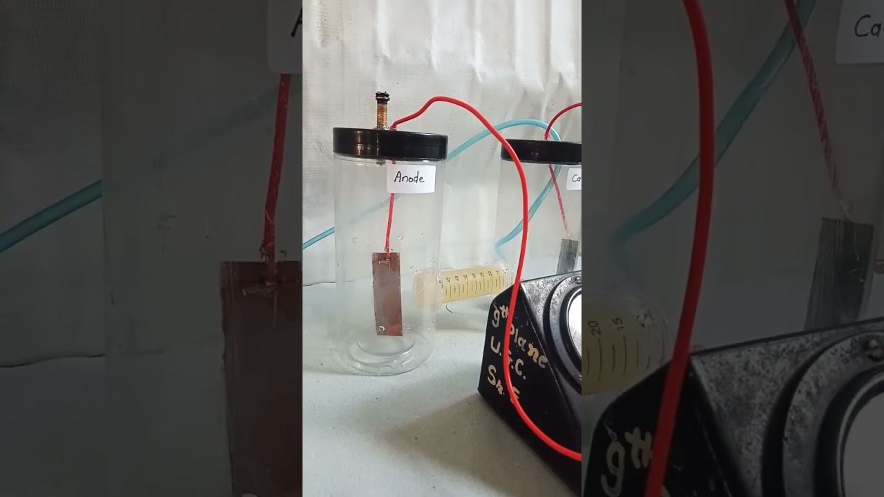Figure 2: Working Model Setup, Scientific Diagram & Project Prototype for Microbial Fuel Cell Working Model Using Mud