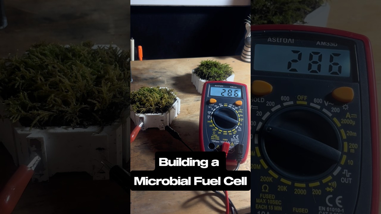 Figure 4: Working Model Setup, Scientific Diagram & Project Prototype for Microbial Fuel Cell Working Model Using Mud