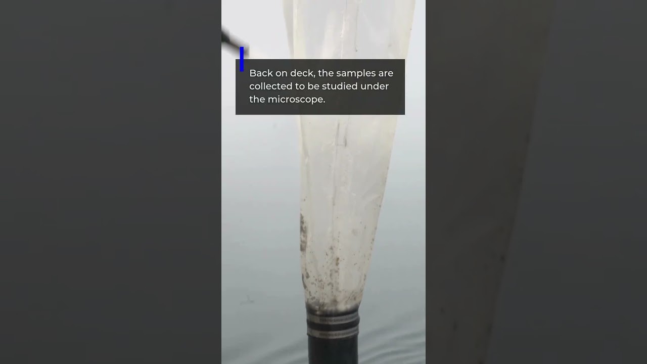 Figure 3: Working Model Setup, Scientific Diagram & Project Prototype for Microplastic Manta Trawl Net Surface Sample Sieve