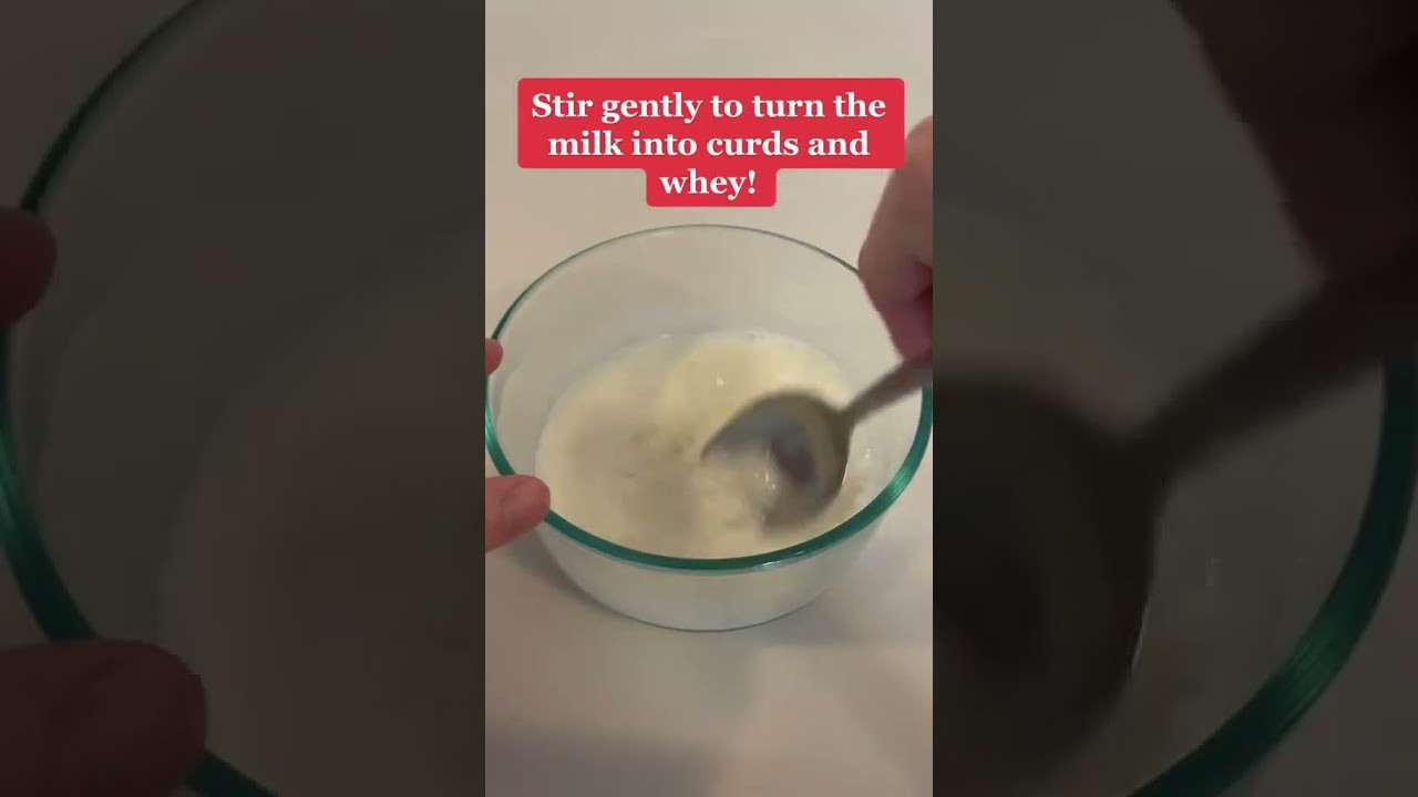 Figure 3: Working Model Setup, Scientific Diagram & Project Prototype for Milk Curdling Casein Plastic Button Making Model