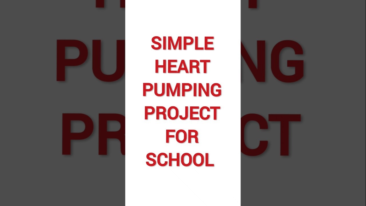 Figure 2: Working Model Setup, Scientific Diagram & Project Prototype for Model Four Chambered Heart Synchronized Dual Bulb Pump