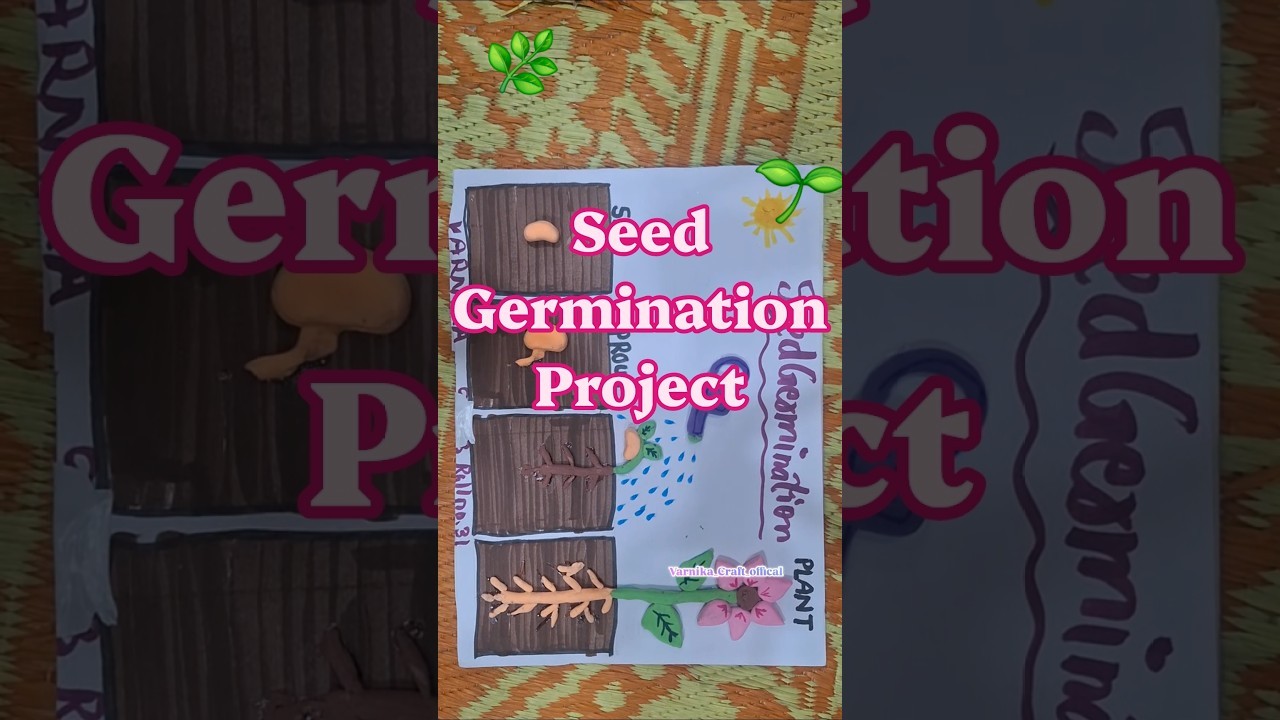 Figure 1: Working Model Setup, Scientific Diagram & Project Prototype for Moringa Oleifera Seed Powder Natural Coagulant Floc Model