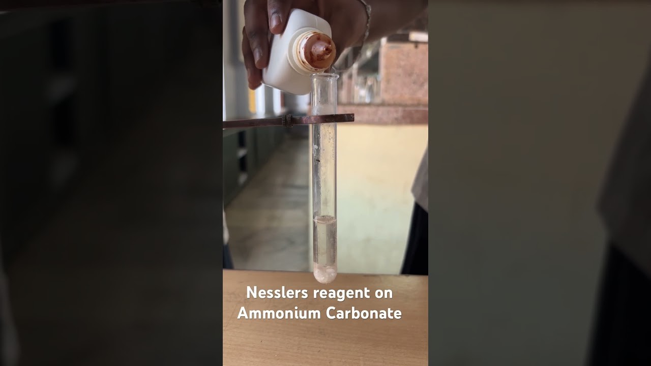 Figure 1: Working Model Setup, Scientific Diagram & Project Prototype for Neslers Reagent Ammonia Gas Colorimetric Detector Model