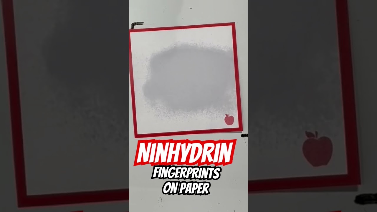 Figure 1: Working Model Setup, Scientific Diagram & Project Prototype for Ninhydrin Amino Acid Fingerprint Development Model
