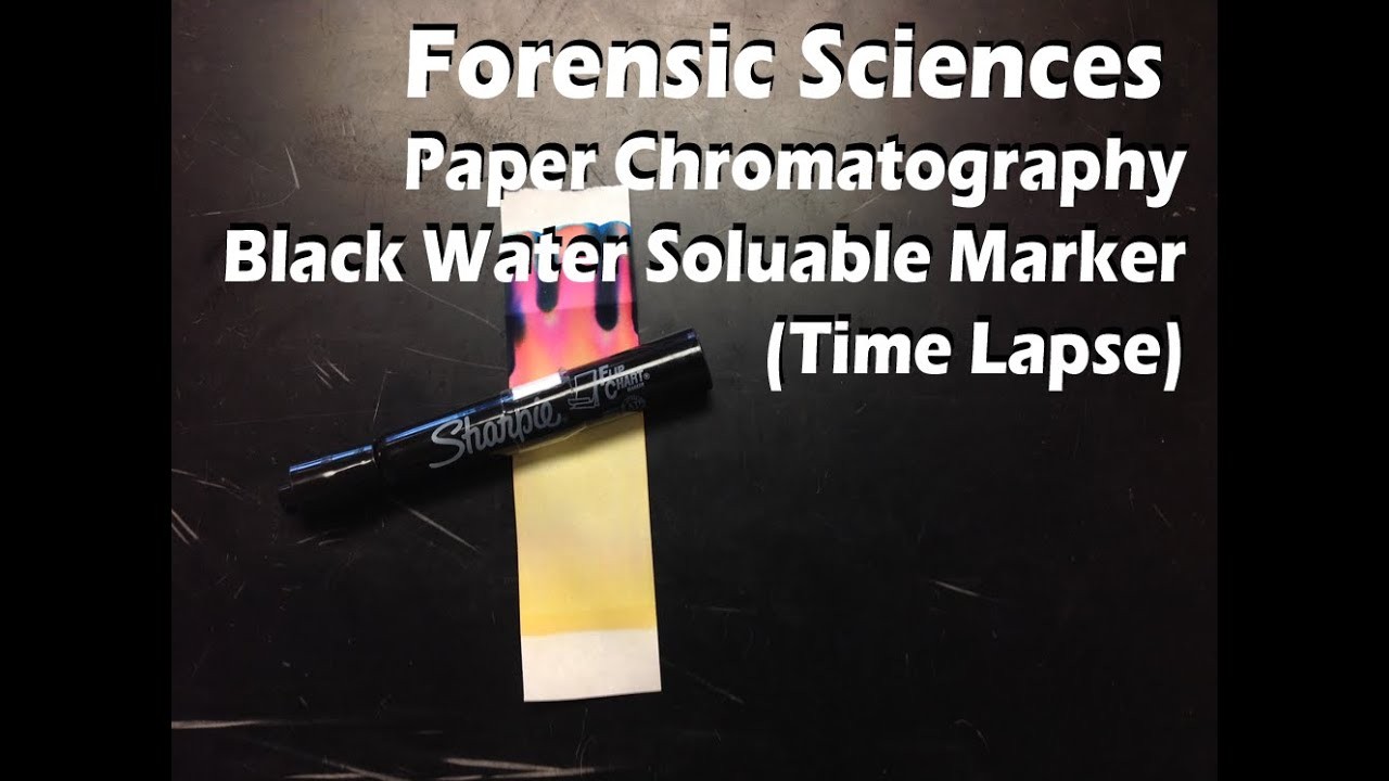 Figure 1: Working Model Setup, Scientific Diagram & Project Prototype for Paper Chromatography Black Ink Component Separation Model