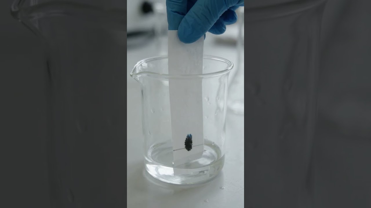Figure 4: Working Model Setup, Scientific Diagram & Project Prototype for Paper Chromatography Black Ink Component Separation Model