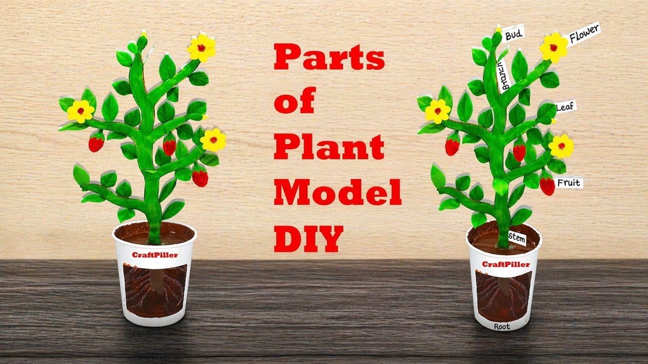 Figure 2: Working Model Setup, Scientific Diagram & Project Prototype for Parts Of Plant Working Model