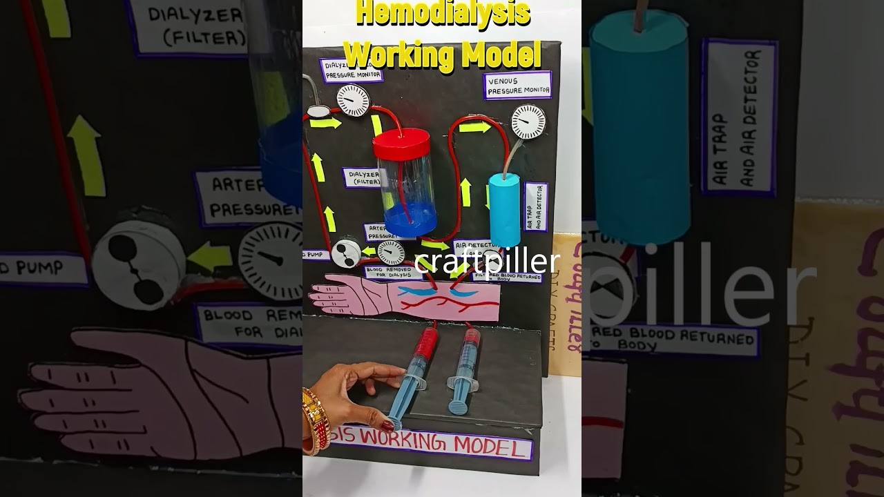Figure 2: Working Model Setup, Scientific Diagram & Project Prototype for Ph Scale Working Model With Indicator Lights
