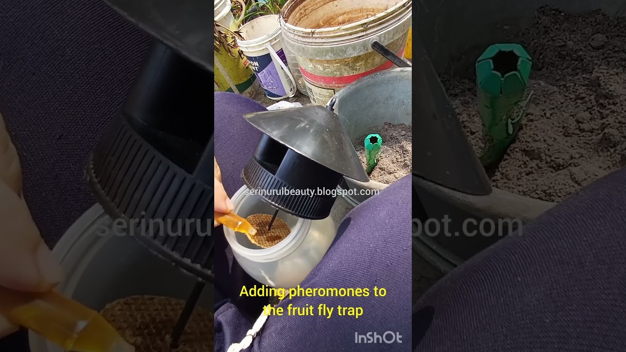 Figure 1: Working Model Setup, Scientific Diagram & Project Prototype for Pheromone Lure Trap Fruit Fly Containment Bottle Model