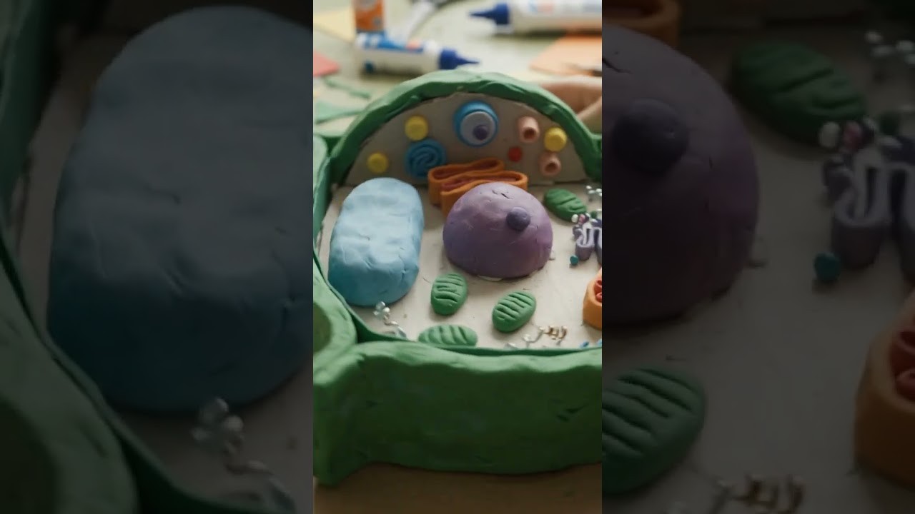 Figure 1: Working Model Setup, Scientific Diagram & Project Prototype for Plant Cell 3D Working Model With Waste Materials