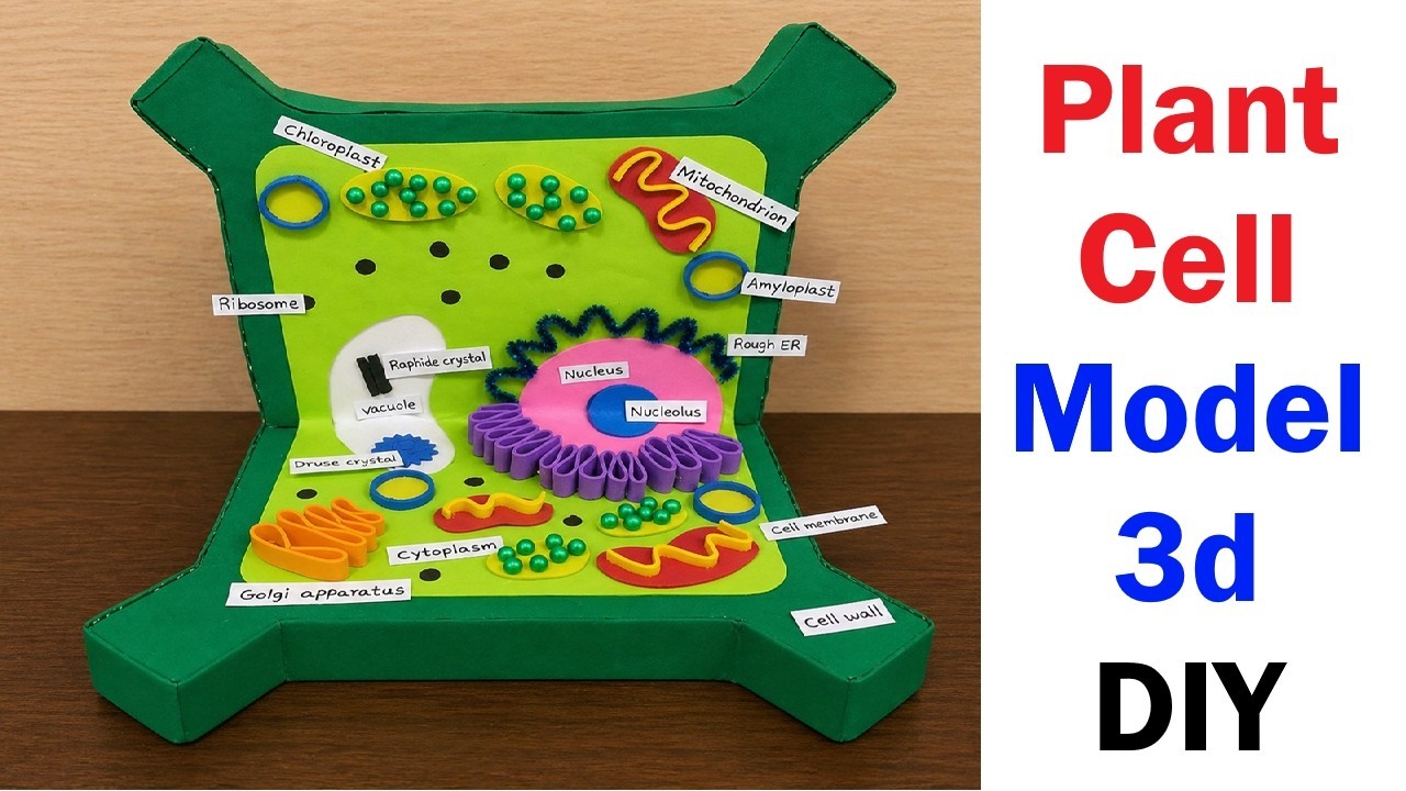 Figure 3: Working Model Setup, Scientific Diagram & Project Prototype for Plant Cell 3D Working Model With Waste Materials