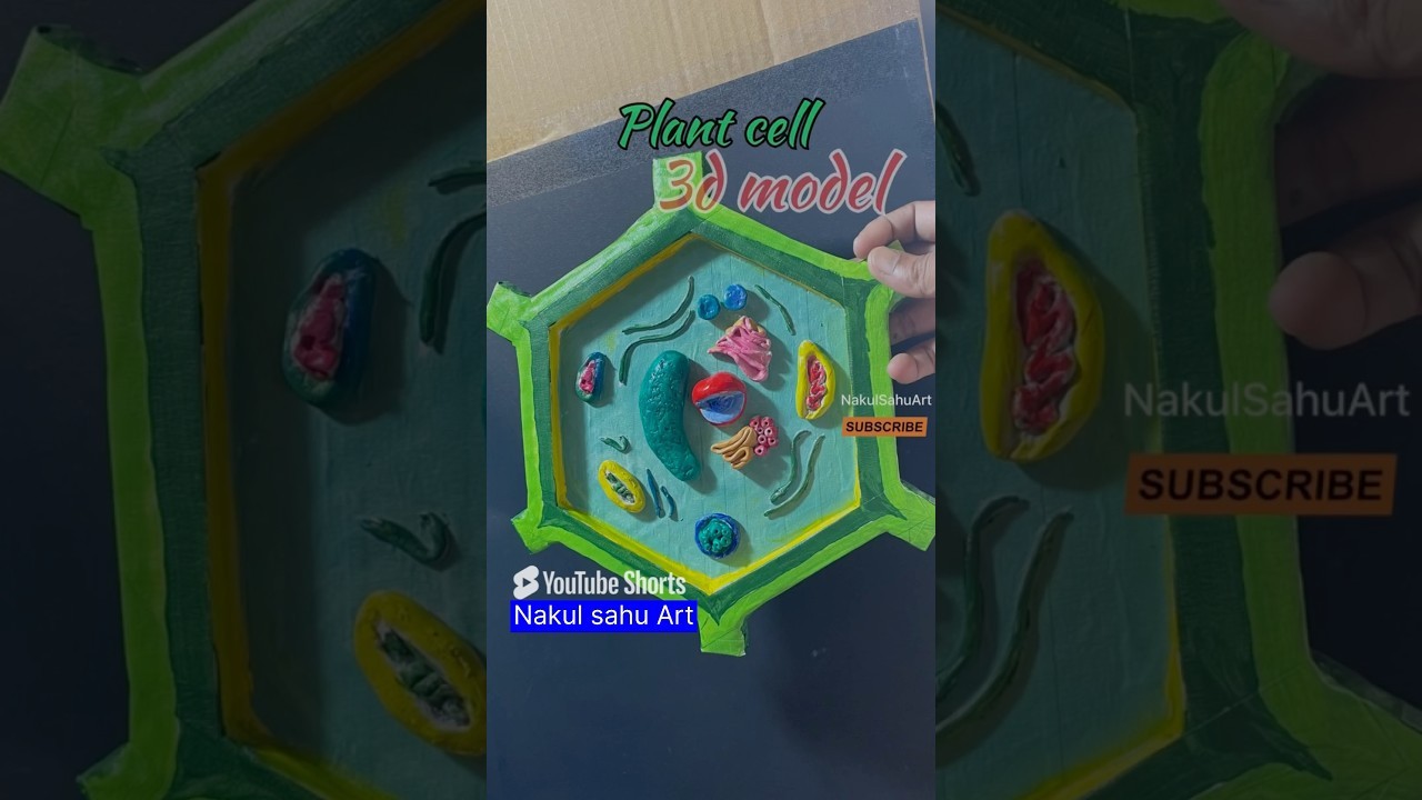 Figure 4: Working Model Setup, Scientific Diagram & Project Prototype for Plant Cell 3D Working Model With Waste Materials