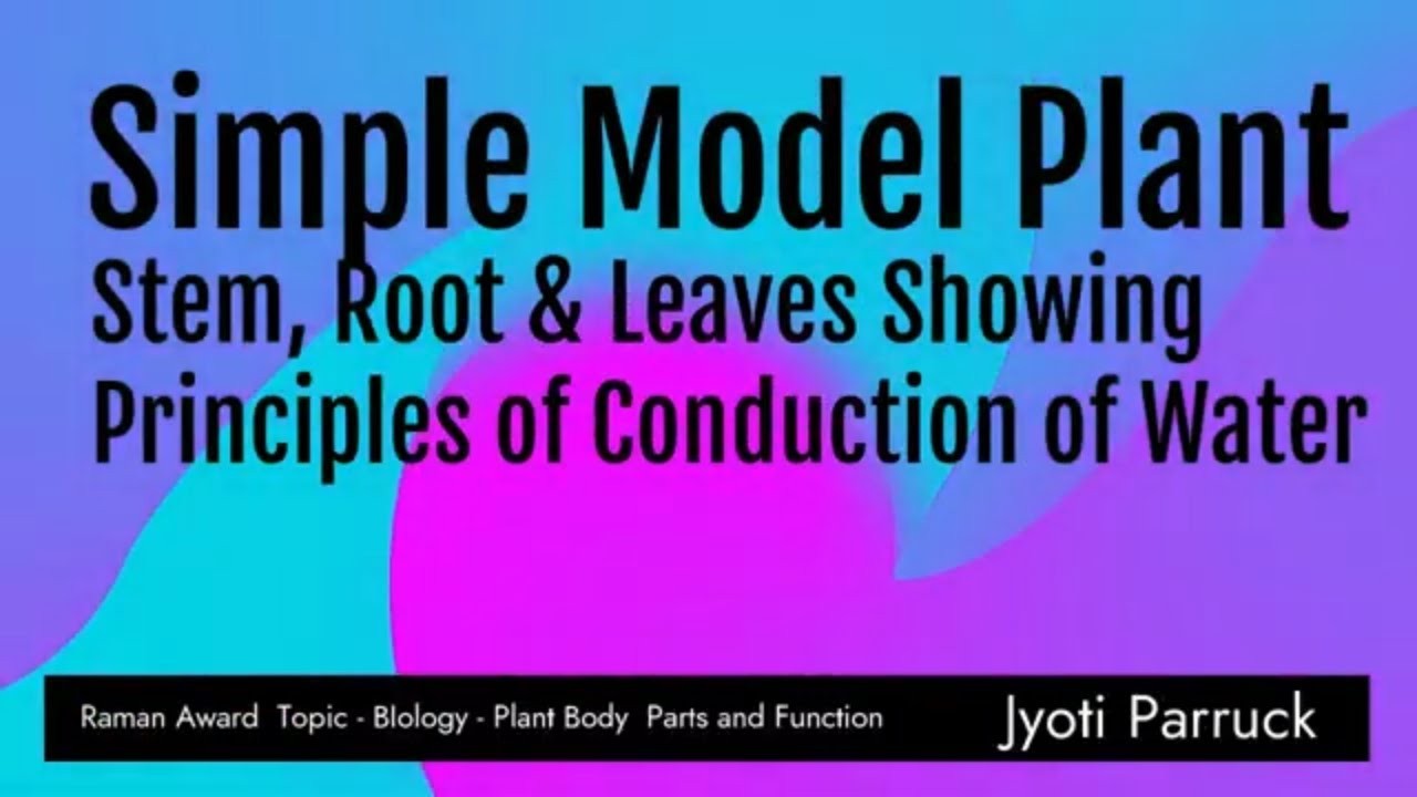 Figure 1: Working Model Setup, Scientific Diagram & Project Prototype for Plant Root Water Apoplast Vs Symplast Casparian Strip