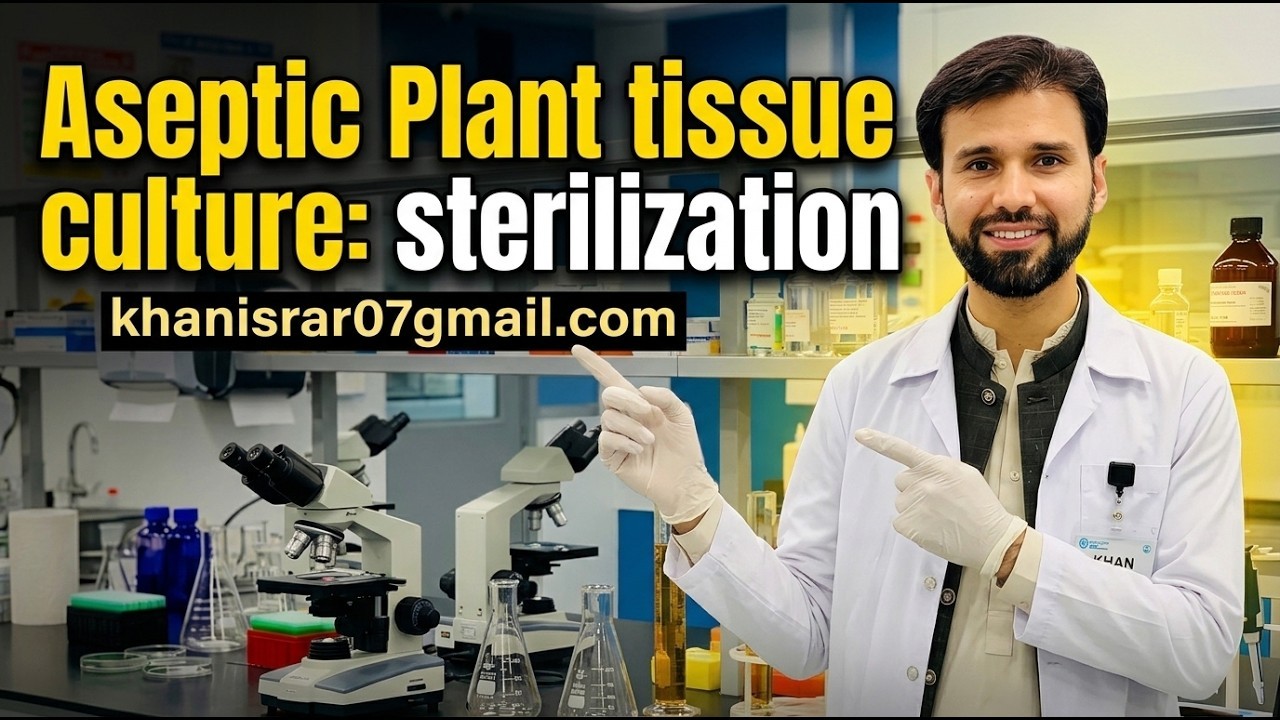Figure 2: Working Model Setup, Scientific Diagram & Project Prototype for Plant Tissue Culture Sterile Laminar Hood Explants Model
