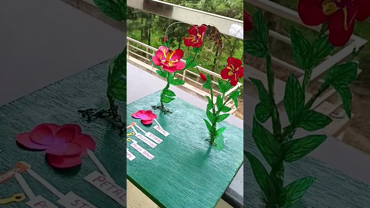 Figure 1: Working Model Setup, Scientific Diagram & Project Prototype for Pollination In Flowers Working Model