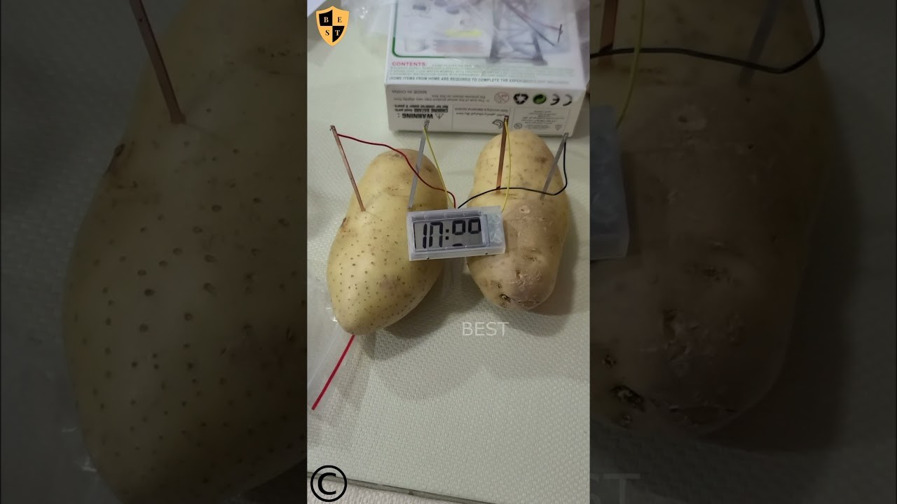 Figure 4: Working Model Setup, Scientific Diagram & Project Prototype for Potato Clock Zinc Copper Electrode Digital Screen Model