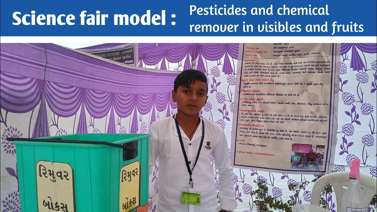 Figure 1: Working Model Setup, Scientific Diagram & Project Prototype for Presence Of Pesticides In Fruits Working Testing Model