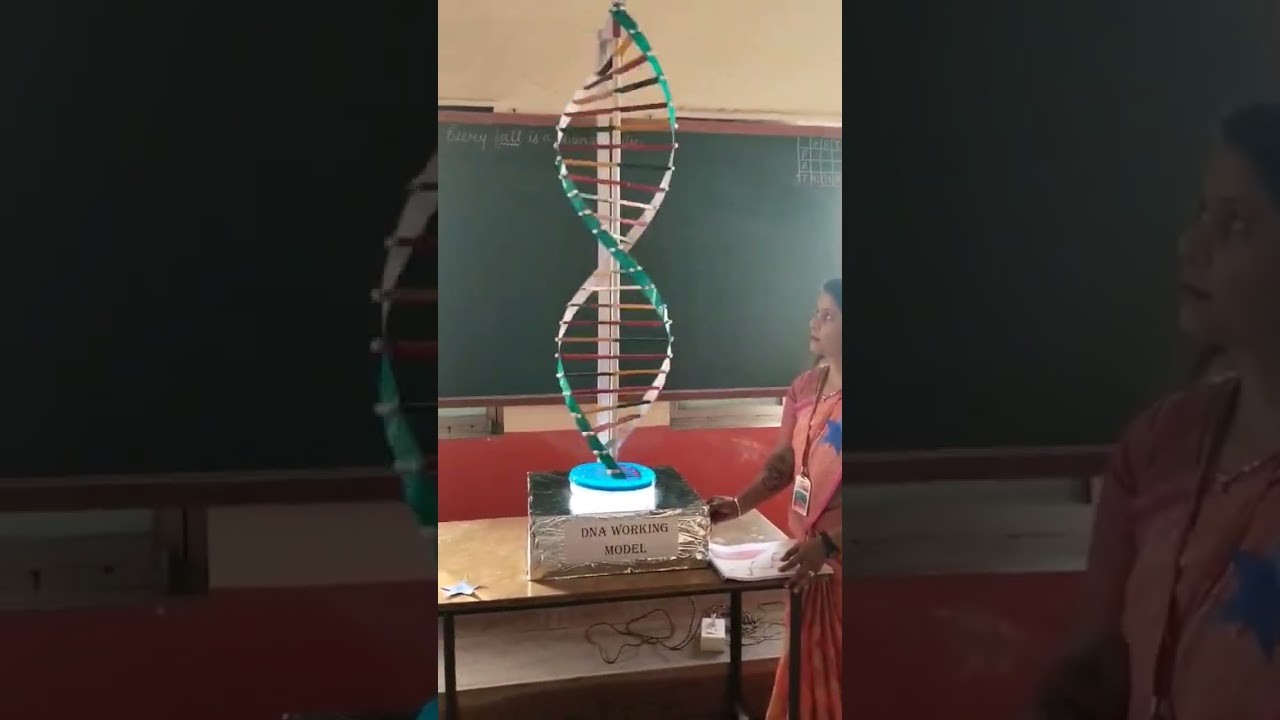 Figure 1: Working Model Setup, Scientific Diagram & Project Prototype for Recombinant DNA Technology Working Model