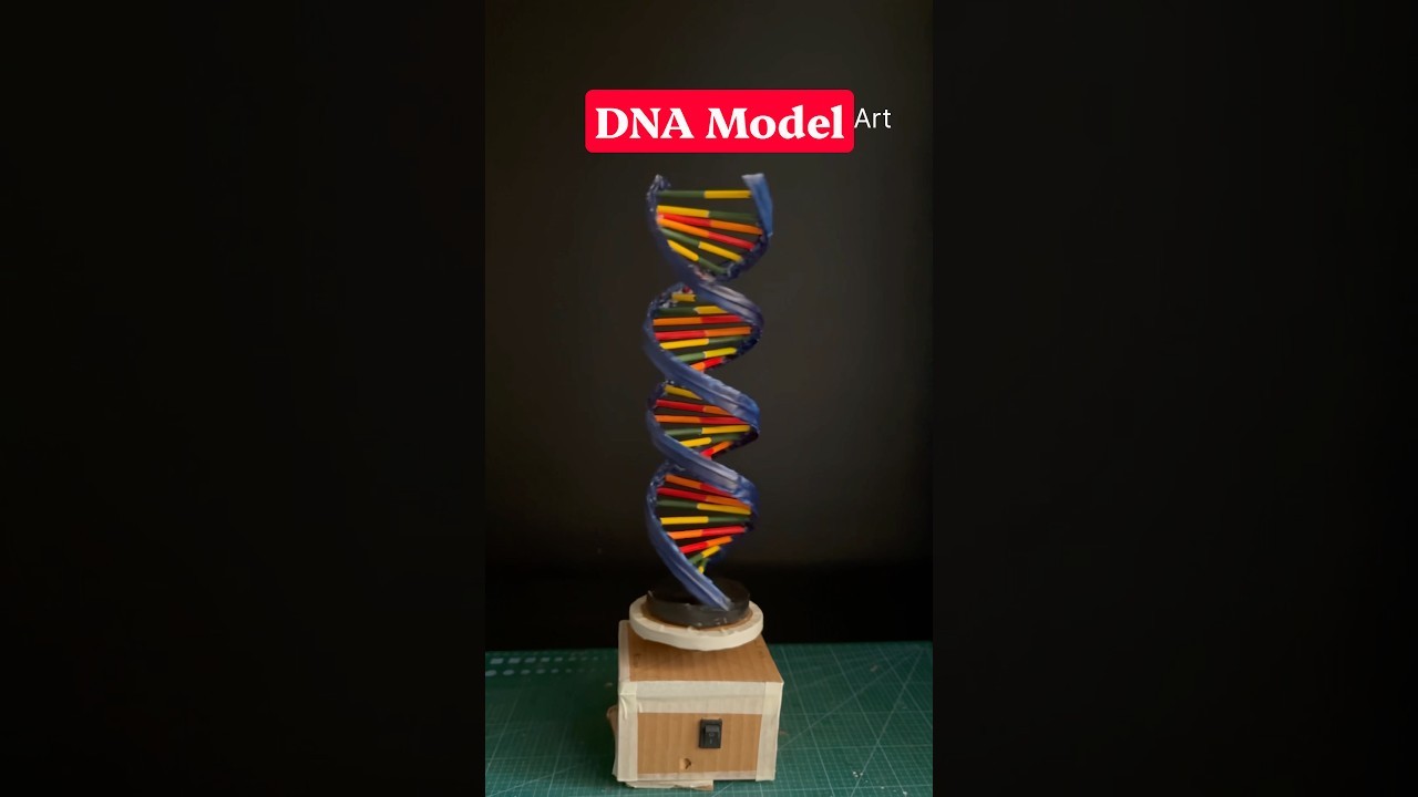 Figure 4: Working Model Setup, Scientific Diagram & Project Prototype for Recombinant DNA Technology Working Model