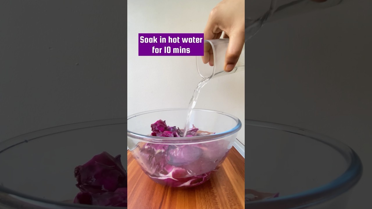 Figure 4: Working Model Setup, Scientific Diagram & Project Prototype for Red Cabbage Anthocyanin Natural Ph Scale Palette Model