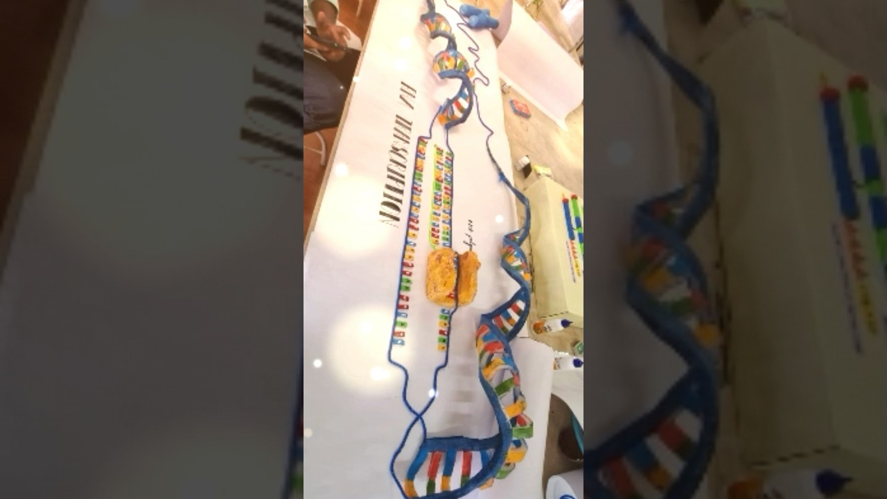 Figure 4: Working Model Setup, Scientific Diagram & Project Prototype for Rna Polymerase Transcription Bubble Nucleotide Dock Model