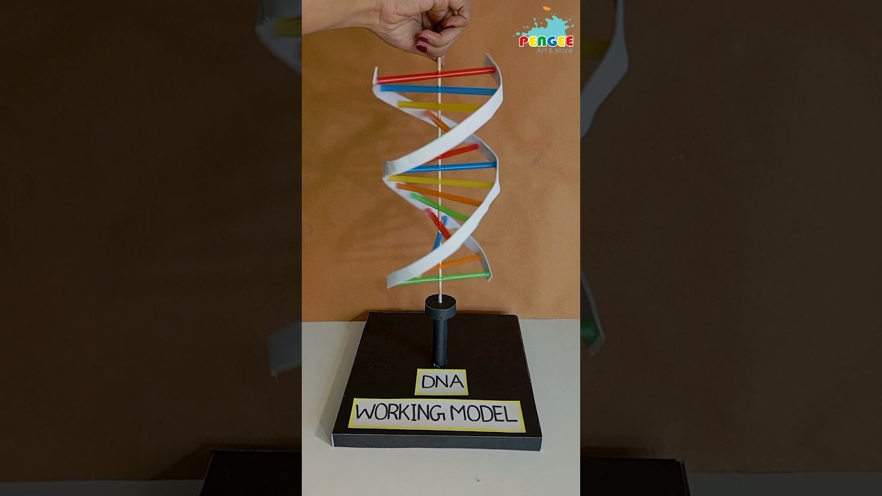 Figure 3: Working Model Setup, Scientific Diagram & Project Prototype for Sanger DNA Sequencing Capillary Gel Color Bands Model