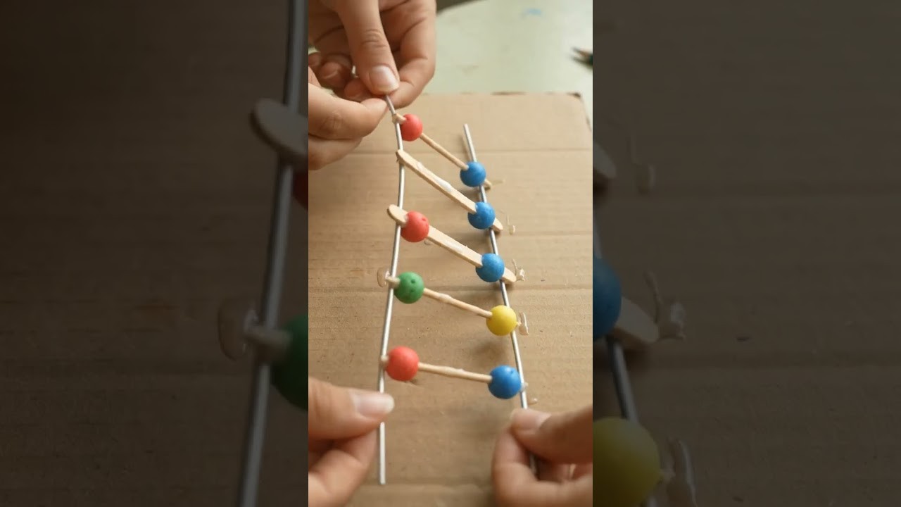 Figure 4: Working Model Setup, Scientific Diagram & Project Prototype for Sanger DNA Sequencing Capillary Gel Color Bands Model