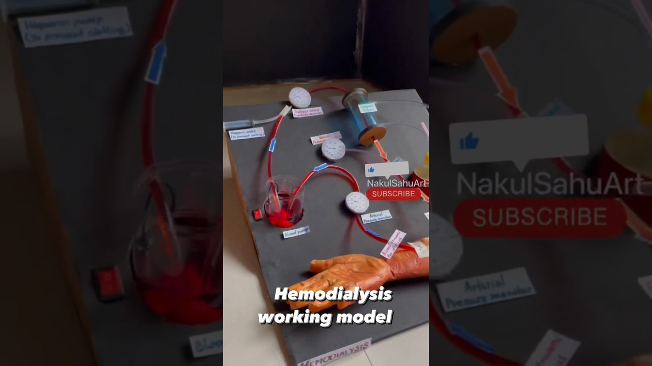 Figure 1: Working Model Setup, Scientific Diagram & Project Prototype for Science Working Model Biology