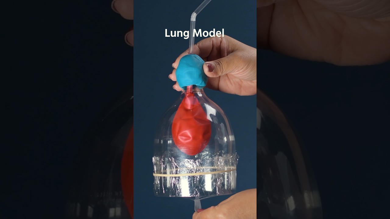 Figure 1: Working Model Setup, Scientific Diagram & Project Prototype for Science Working Model Easy And Cheap