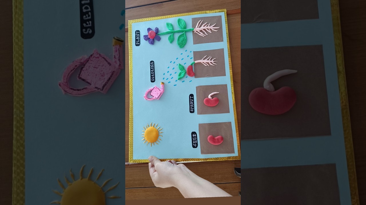 Figure 3: Working Model Setup, Scientific Diagram & Project Prototype for Seed Germination Working Model