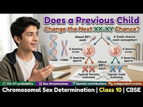 Figure 1: Working Model Setup, Scientific Diagram & Project Prototype for Sex Chromosome Xx Xy Determination Marble Sorter