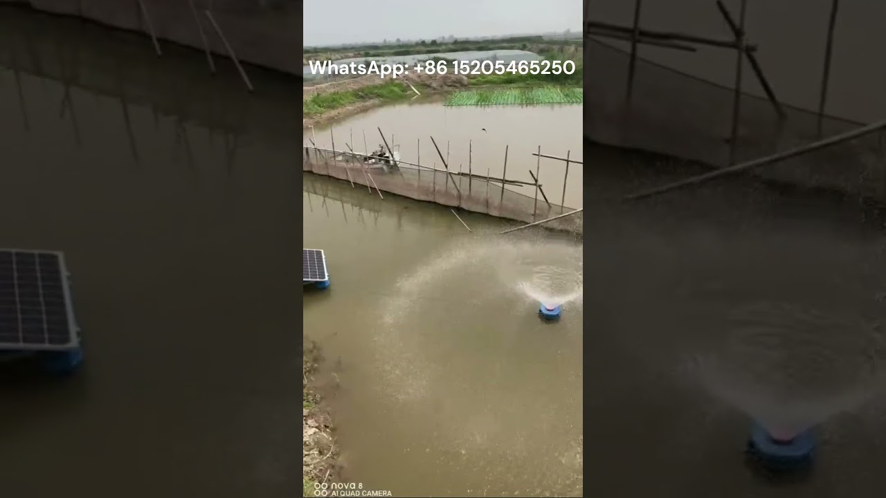 Figure 1: Working Model Setup, Scientific Diagram & Project Prototype for Solar Powered Paddlewheel Aerator Shrimp Farm Pond