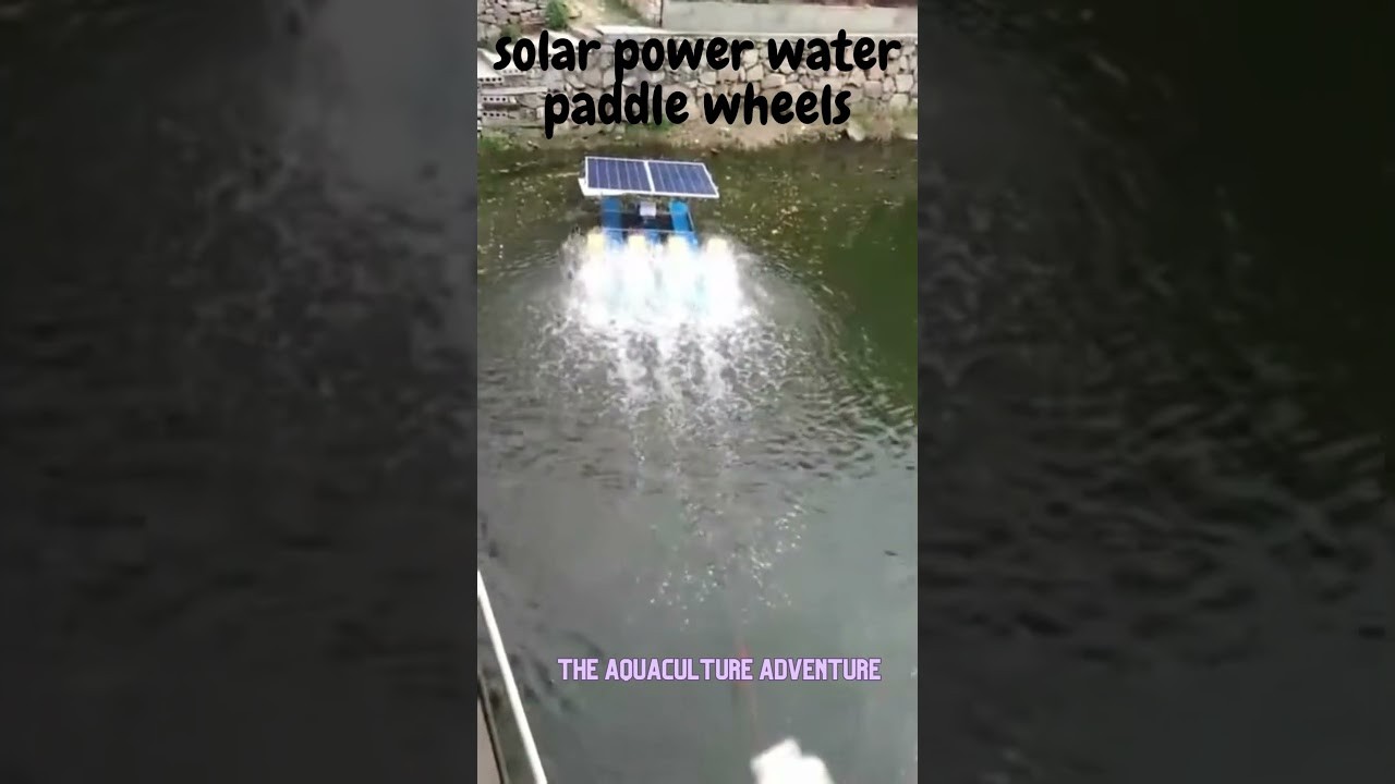 Figure 4: Working Model Setup, Scientific Diagram & Project Prototype for Solar Powered Paddlewheel Aerator Shrimp Farm Pond