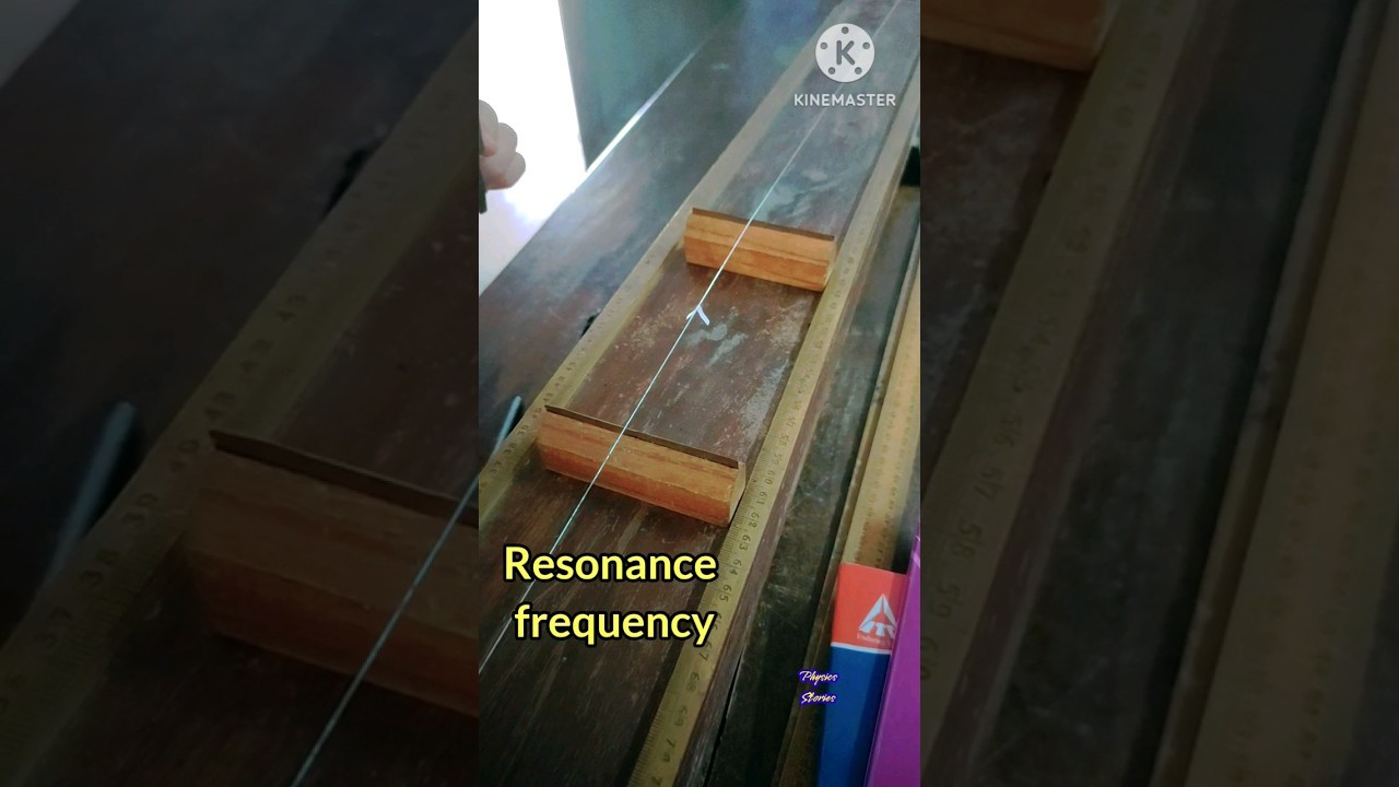Figure 2: Working Model Setup, Scientific Diagram & Project Prototype for Sonometer Measurement Of AC Frequency Working Model