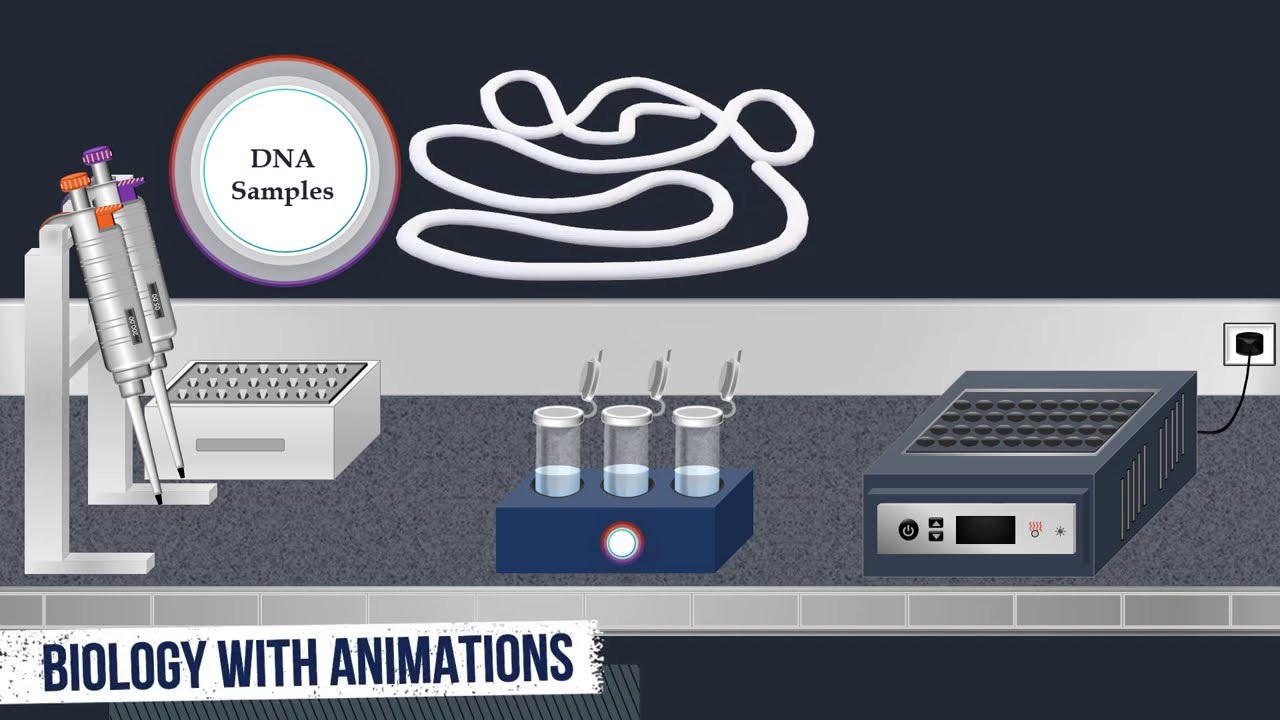 Figure 1: Working Model Setup, Scientific Diagram & Project Prototype for Southern Blot DNA Nylon Membrane Hybridization Model