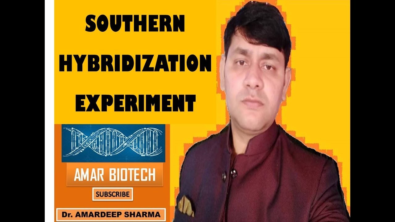 Figure 3: Working Model Setup, Scientific Diagram & Project Prototype for Southern Blot DNA Nylon Membrane Hybridization Model