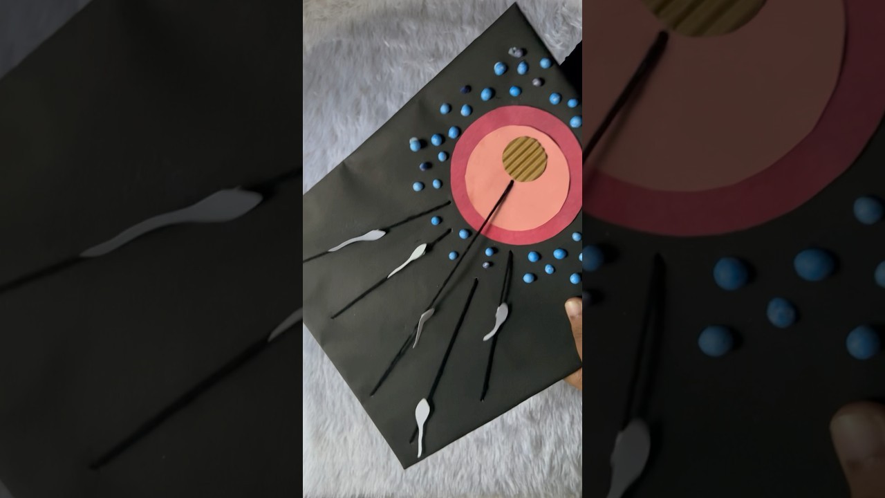 Figure 4: Working Model Setup, Scientific Diagram & Project Prototype for Spermatogenesis And Oogenesis 3D Working Model