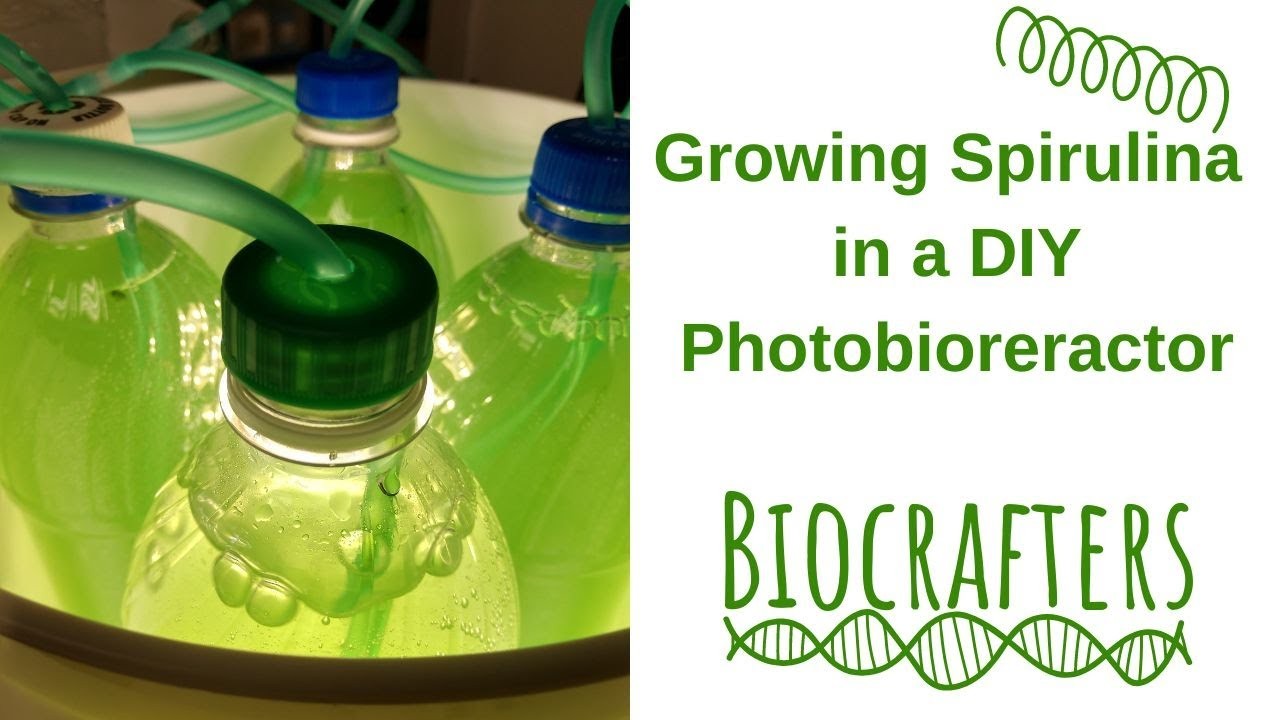 Figure 1: Working Model Setup, Scientific Diagram & Project Prototype for Spirulina Algae Home Tubular Photobioreactor Model
