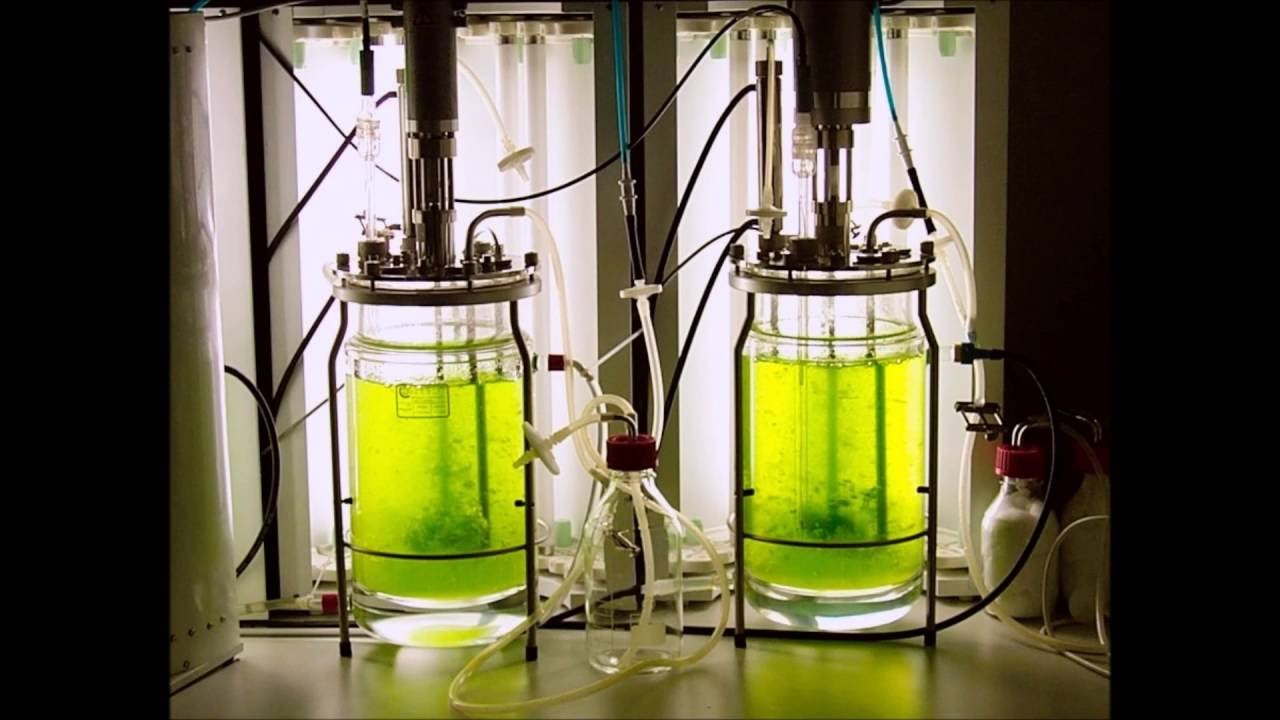 Figure 4: Working Model Setup, Scientific Diagram & Project Prototype for Spirulina Algae Home Tubular Photobioreactor Model