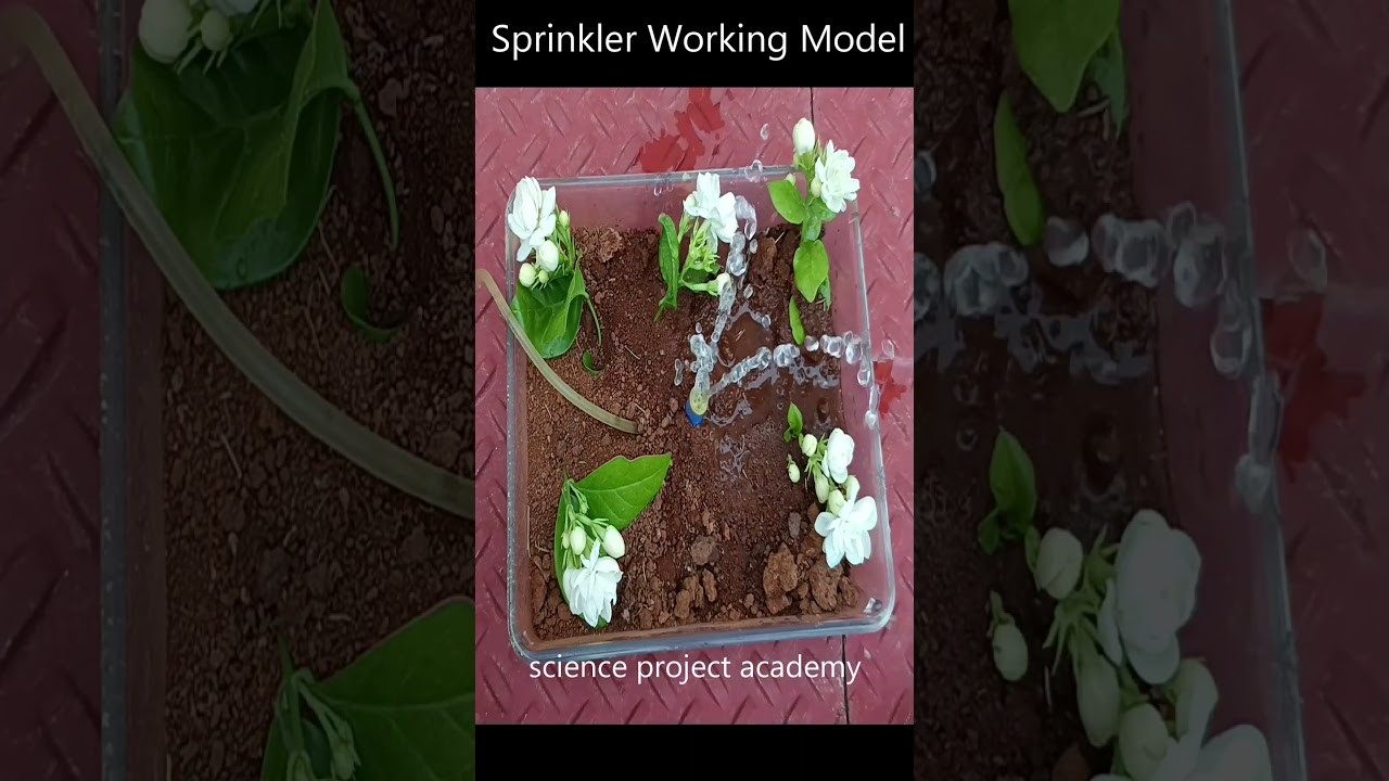Figure 2: Working Model Setup, Scientific Diagram & Project Prototype for Sprinkler Irrigation Working Model