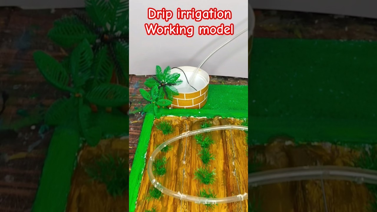 Figure 3: Working Model Setup, Scientific Diagram & Project Prototype for Sprinkler Irrigation Working Model