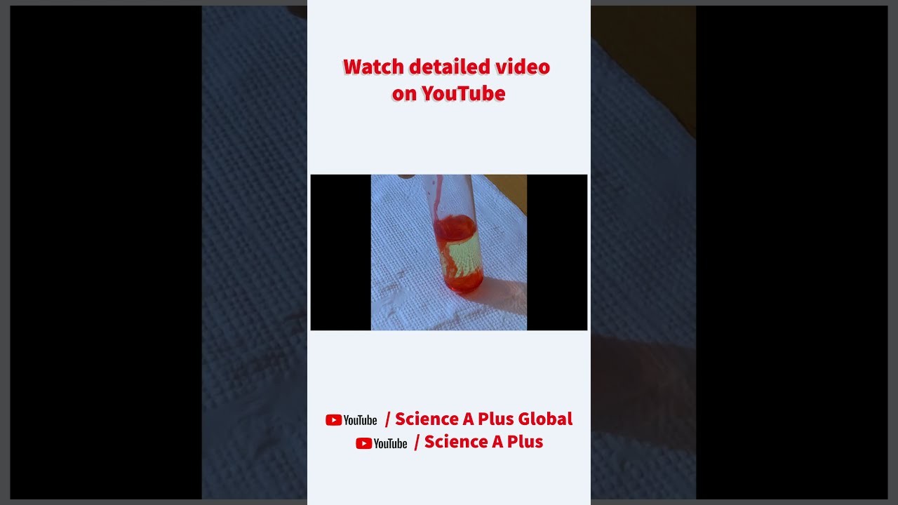 Figure 4: Working Model Setup, Scientific Diagram & Project Prototype for Sudan Iii Lipid Fat Globule Dye Absorption Model