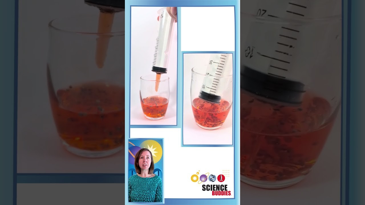Figure 1: Working Model Setup, Scientific Diagram & Project Prototype for Synthetic Seed Encapsulated Sodium Alginate Beads Model
