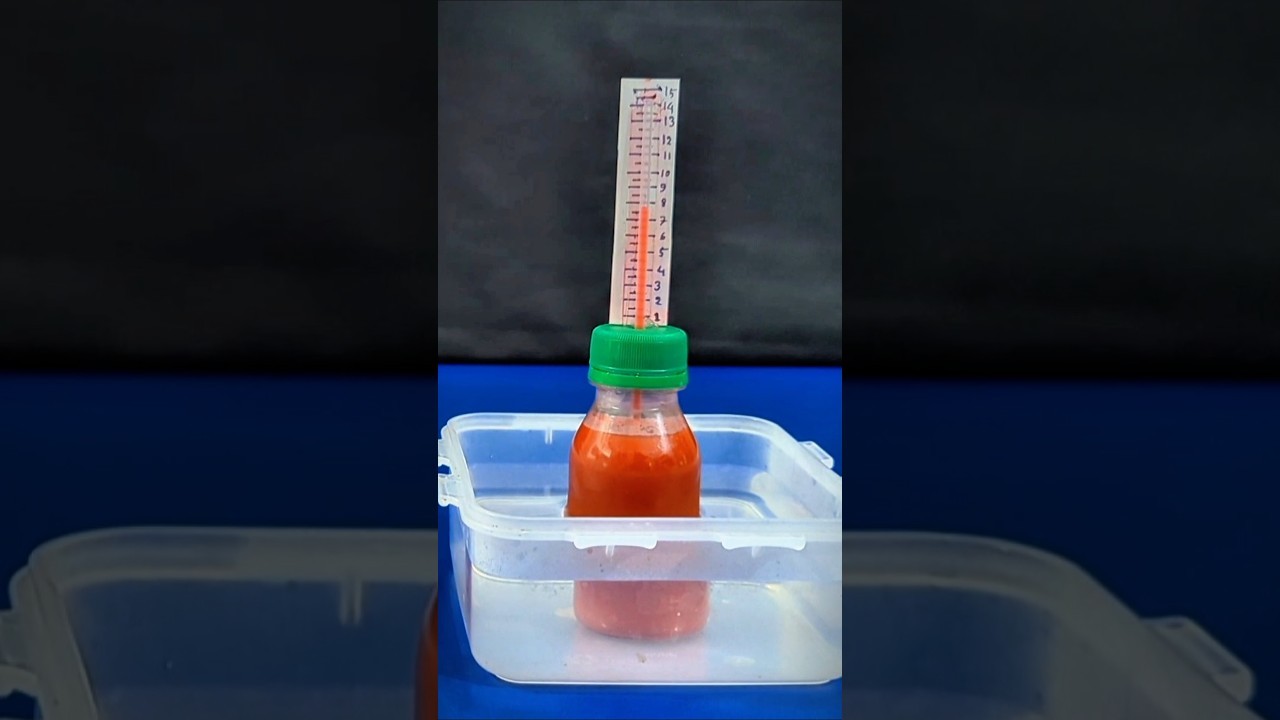 Figure 3: Working Model Setup, Scientific Diagram & Project Prototype for Thermoregulation Vasodilation Vasoconstriction Model