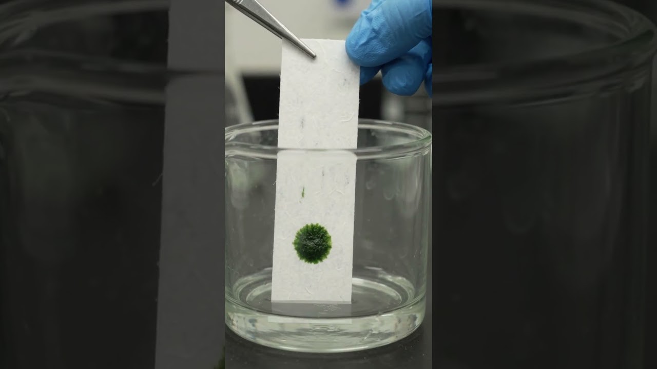 Figure 1: Working Model Setup, Scientific Diagram & Project Prototype for Thin Layer Chromatography Leaf Xanthophyll Carotene Model