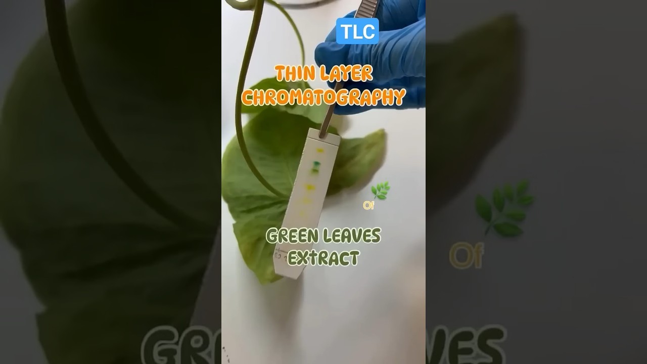 Figure 2: Working Model Setup, Scientific Diagram & Project Prototype for Thin Layer Chromatography Leaf Xanthophyll Carotene Model