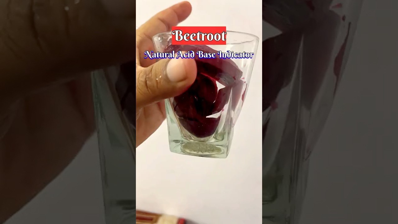 Figure 4: Working Model Setup, Scientific Diagram & Project Prototype for Turmeric And Beetroot Natural Acid Alkali Indicators Model