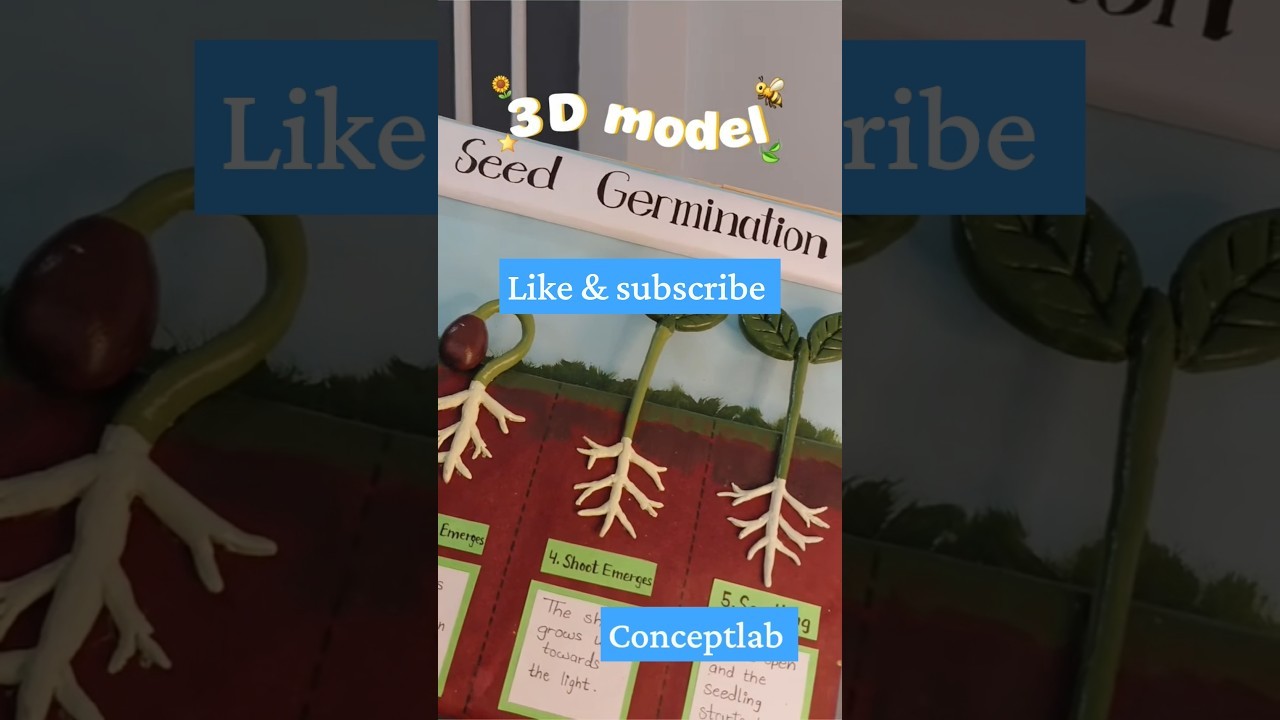 Figure 2: Working Model Setup, Scientific Diagram & Project Prototype for Vivipary Germination On Tree Rhizophora Propagule Model