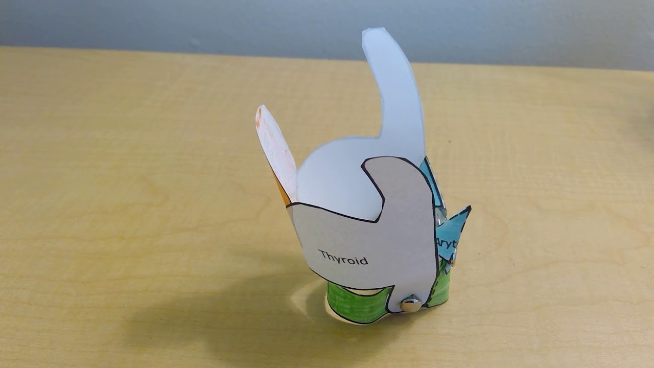 Figure 2: Working Model Setup, Scientific Diagram & Project Prototype for Vocal Cord Larynx Phonation Elastic Slit Model