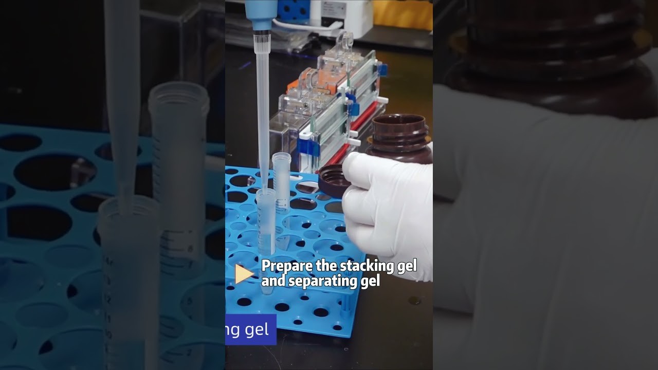 Figure 2: Working Model Setup, Scientific Diagram & Project Prototype for Western Blot Protein Antibody Chemiluminescence Model